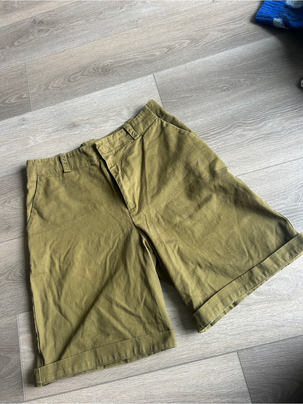 Men's Olive Flat-Front Casual Shorts